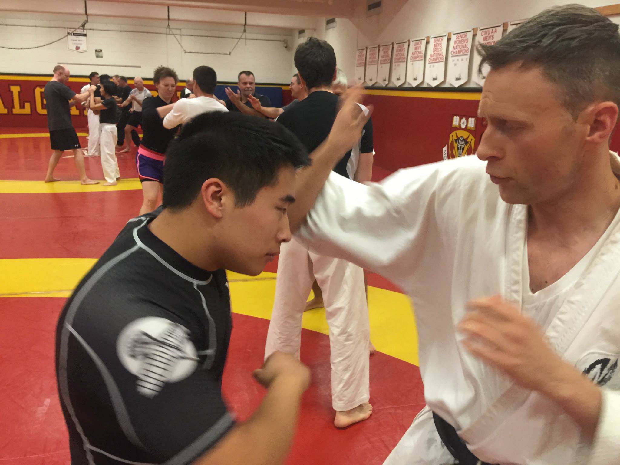 2015 Calgray Semina Tegume Line Drill