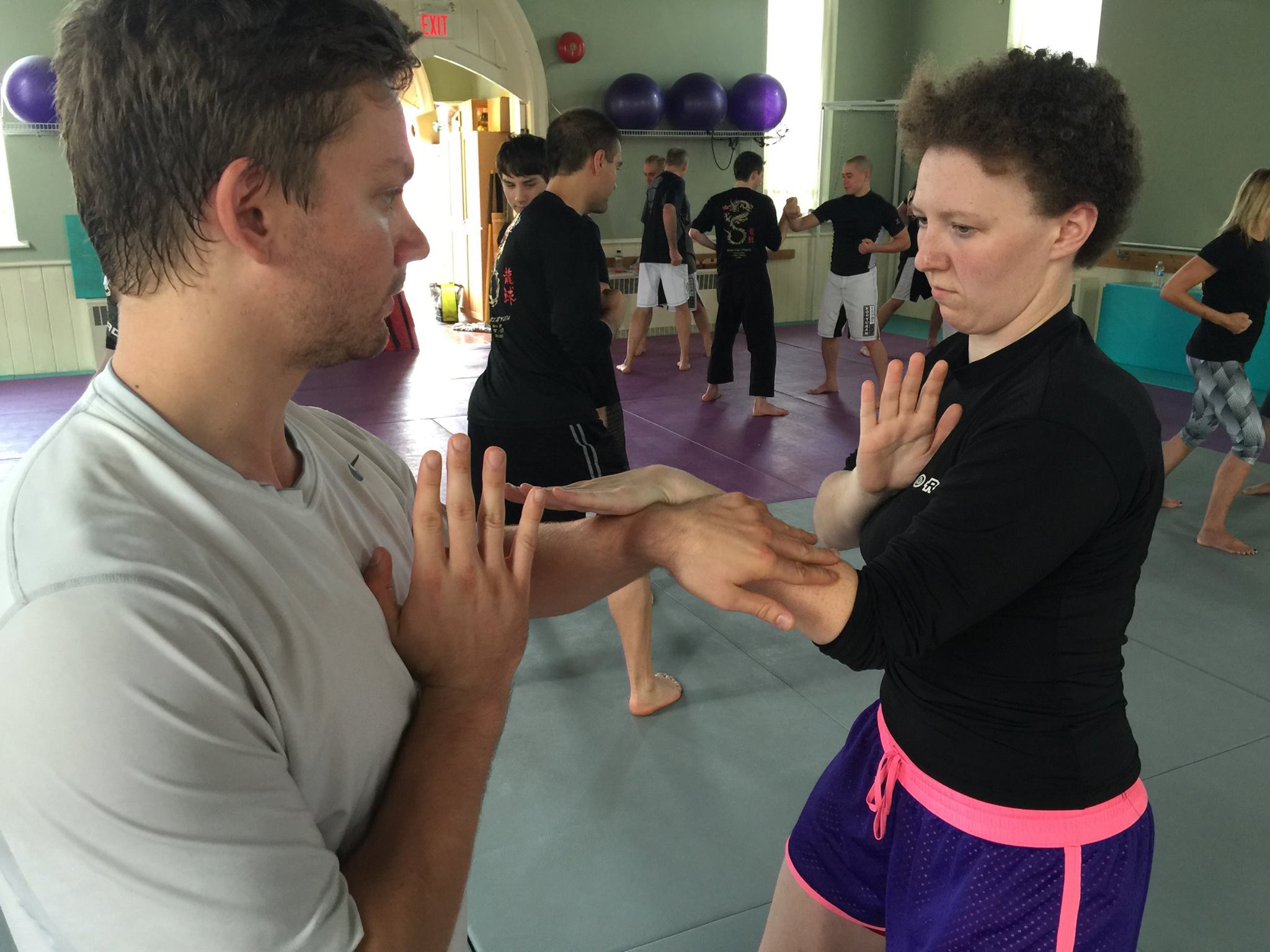 Gasshuku 2015 Tegume